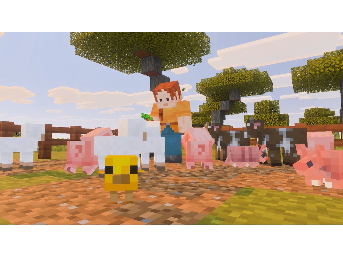 Minecraft Spill til Nintendo Switch 2