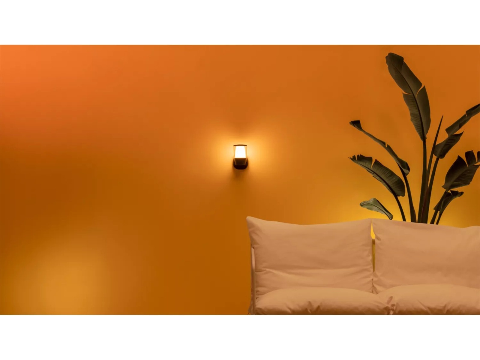 WiZ Utendørs ELPAS Vegglampe Vegglampe