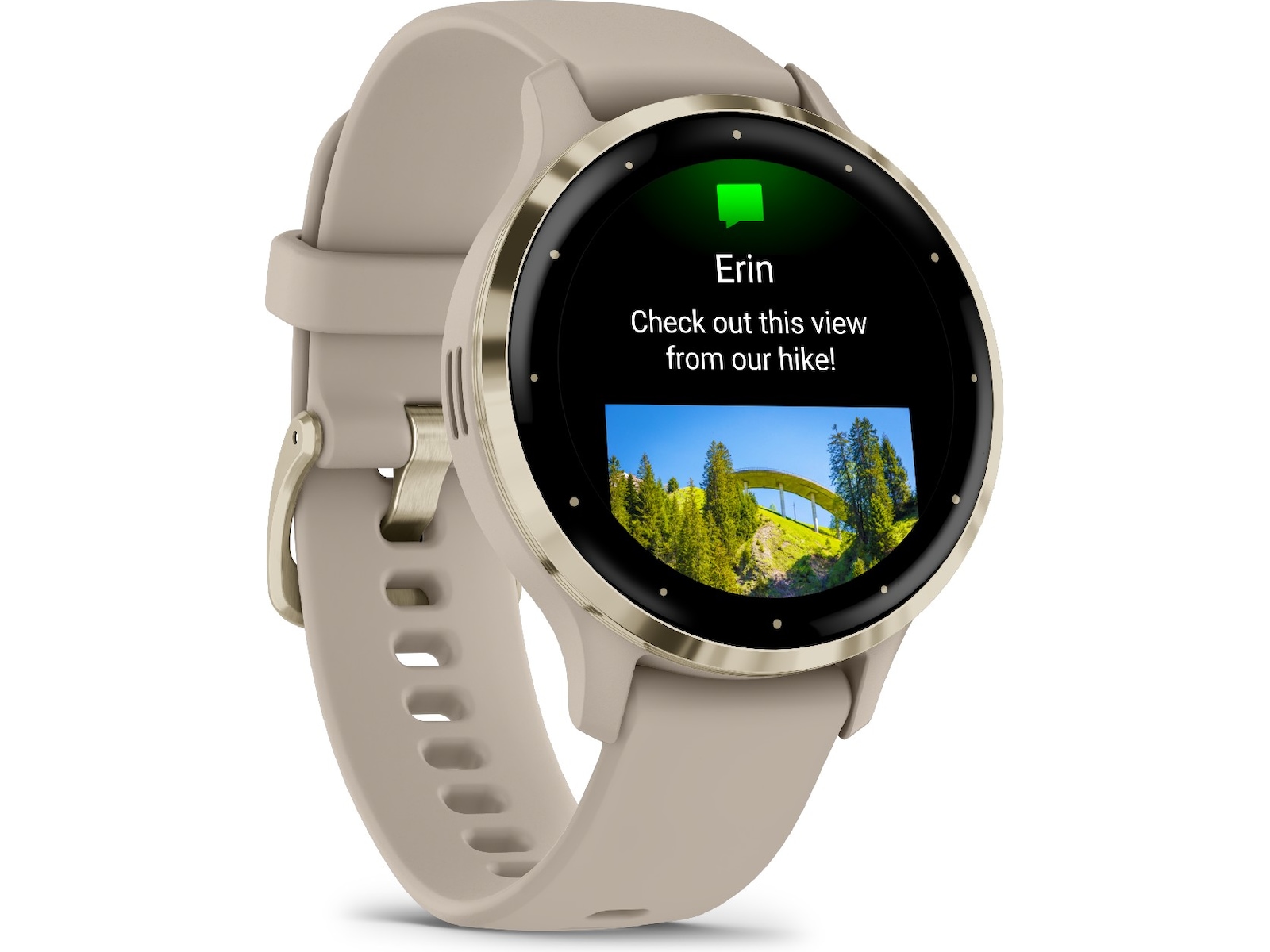 Garmin Venu 3S 41mm GPS (french gray/soft gold) Smartklokker