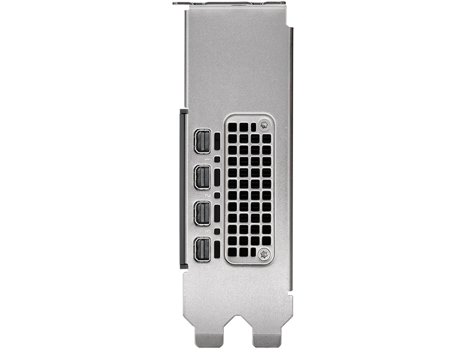 PNY Nvidia RTX 2000 Ada Generation Skjermkort