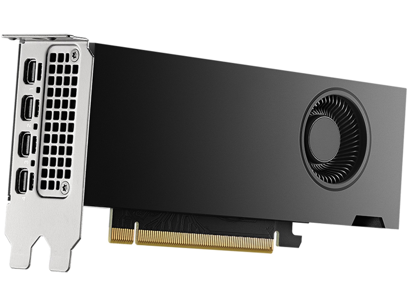 PNY Nvidia RTX 2000 Ada Generation Skjermkort