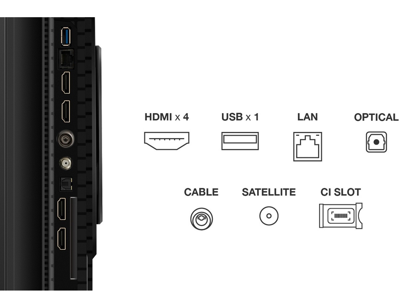 TCL 55" T8C 4K QLED Google TV (2025) 50 - 59 tommer TV