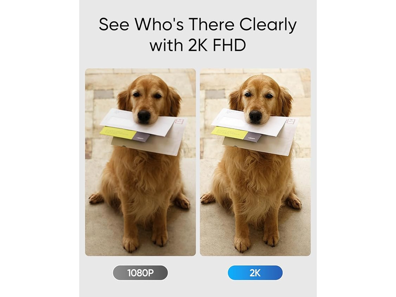 Eufy Video Doorbell C30 Ringeklokker