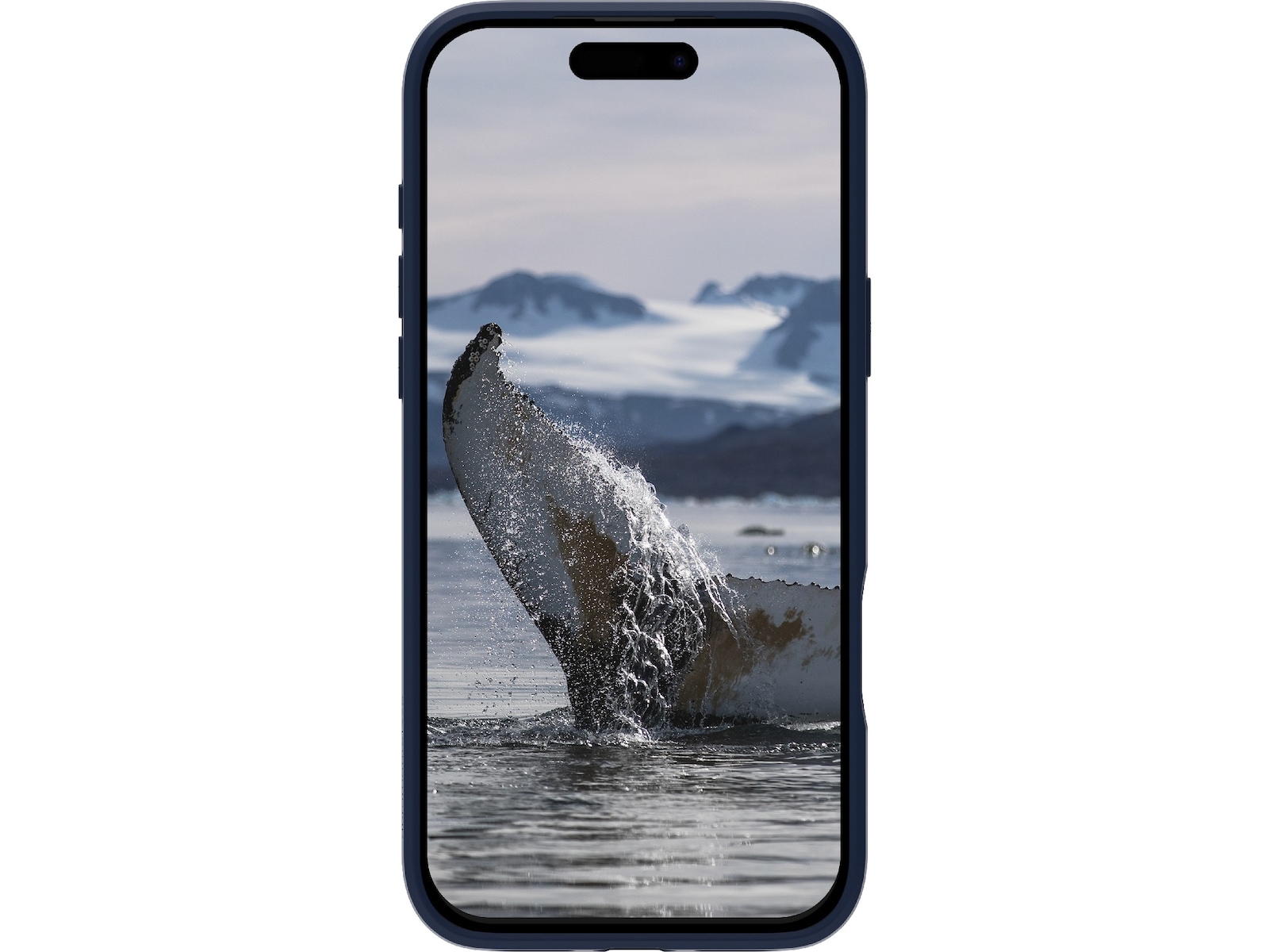 dbramante1928 iPhone 17 Pro Max Greenland Pro deksel (pacific blue) Mobildeksel