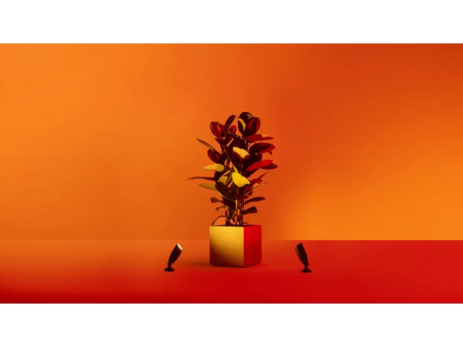 WiZ utendørs 12V bakkespot startsett Gulvlampe