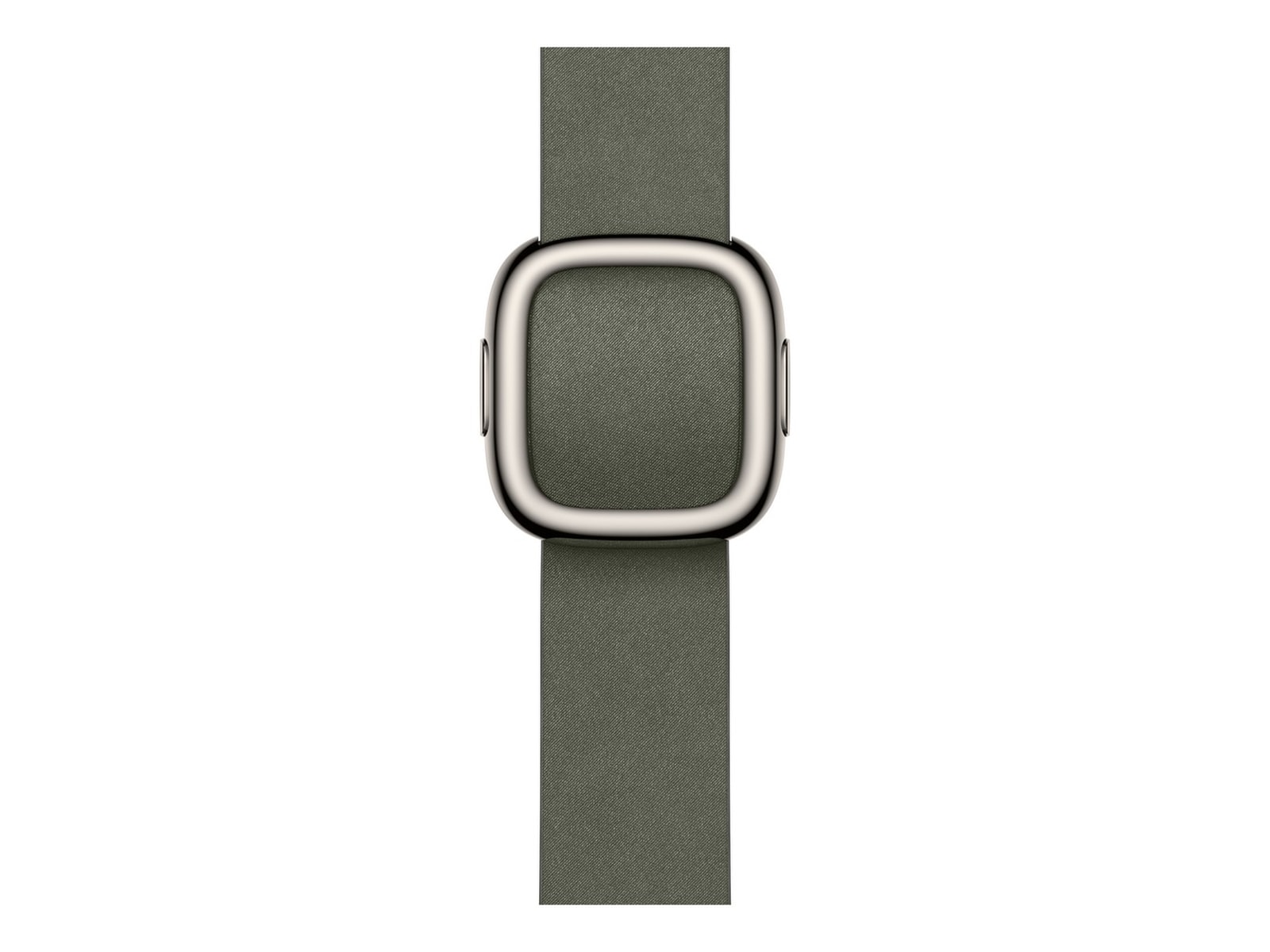 Apple Watch 42mm Modern Buckle (sage gray) Reim