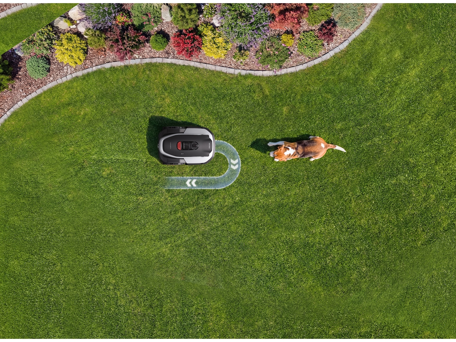 Roborock Q110 robotgressklipper RTK VSLAM 1000 m² Robotgressklipper