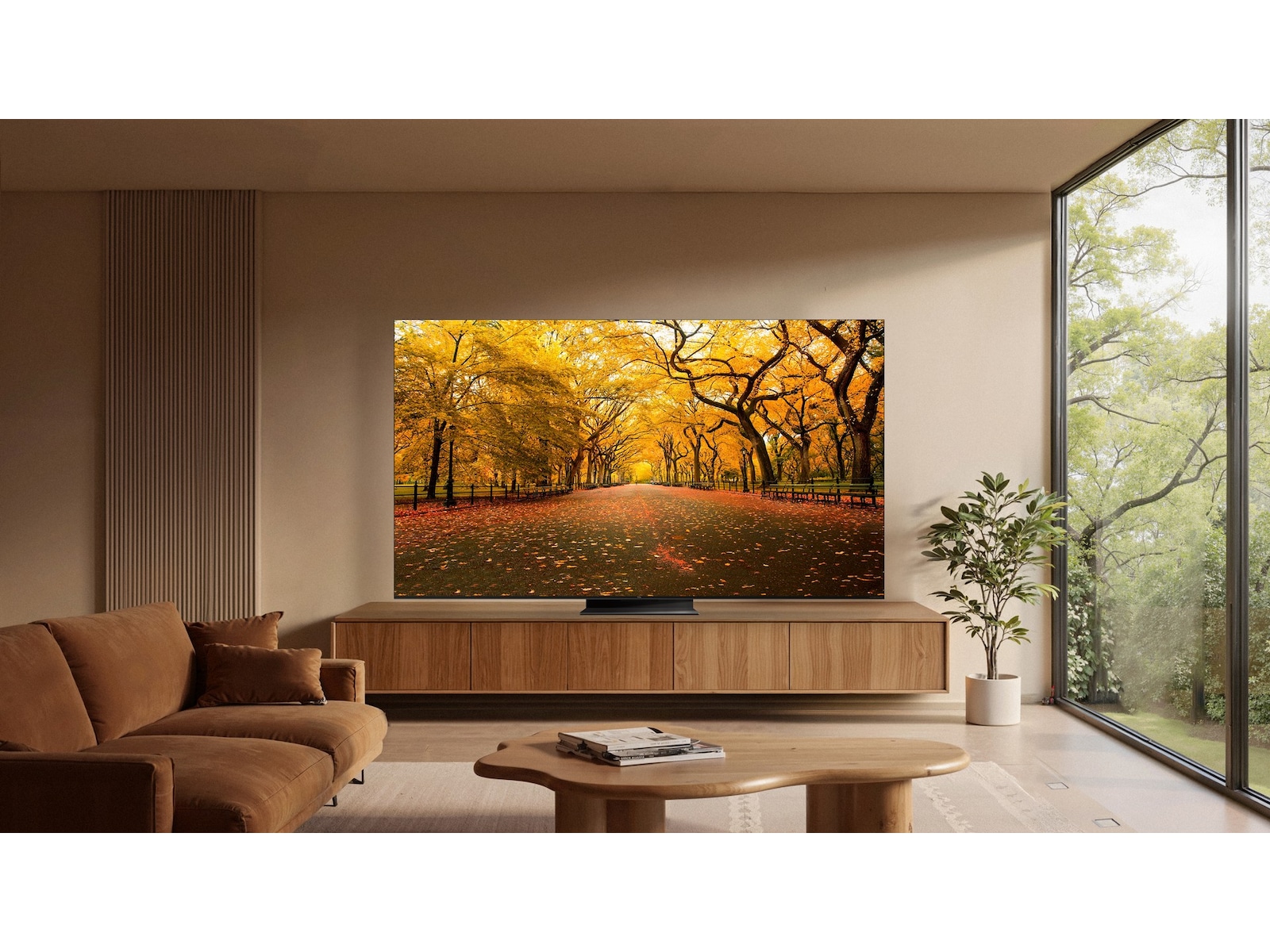 TCL C8L 55” SQD-Mini LED Smart TV (2026) 50 - 59 tommer TV