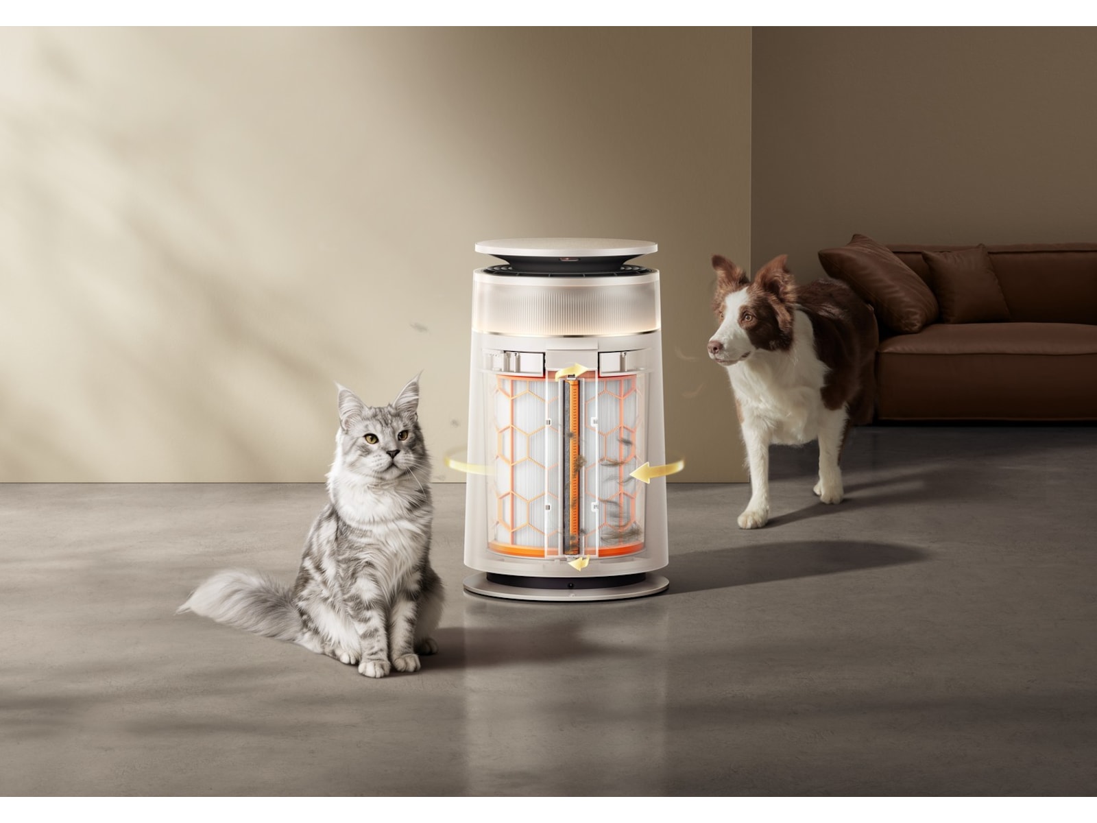 Dreame FP10 Pet luftrenser Luftrensere