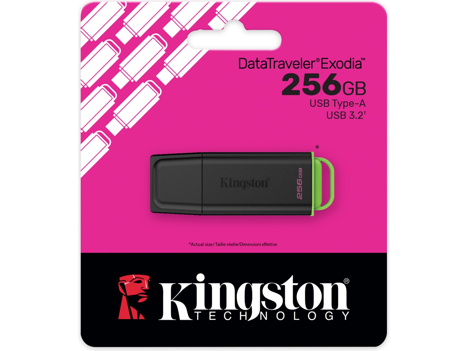 Kingston DataTraveler Exodia 256GB Minnepenn Minnepenn / USB