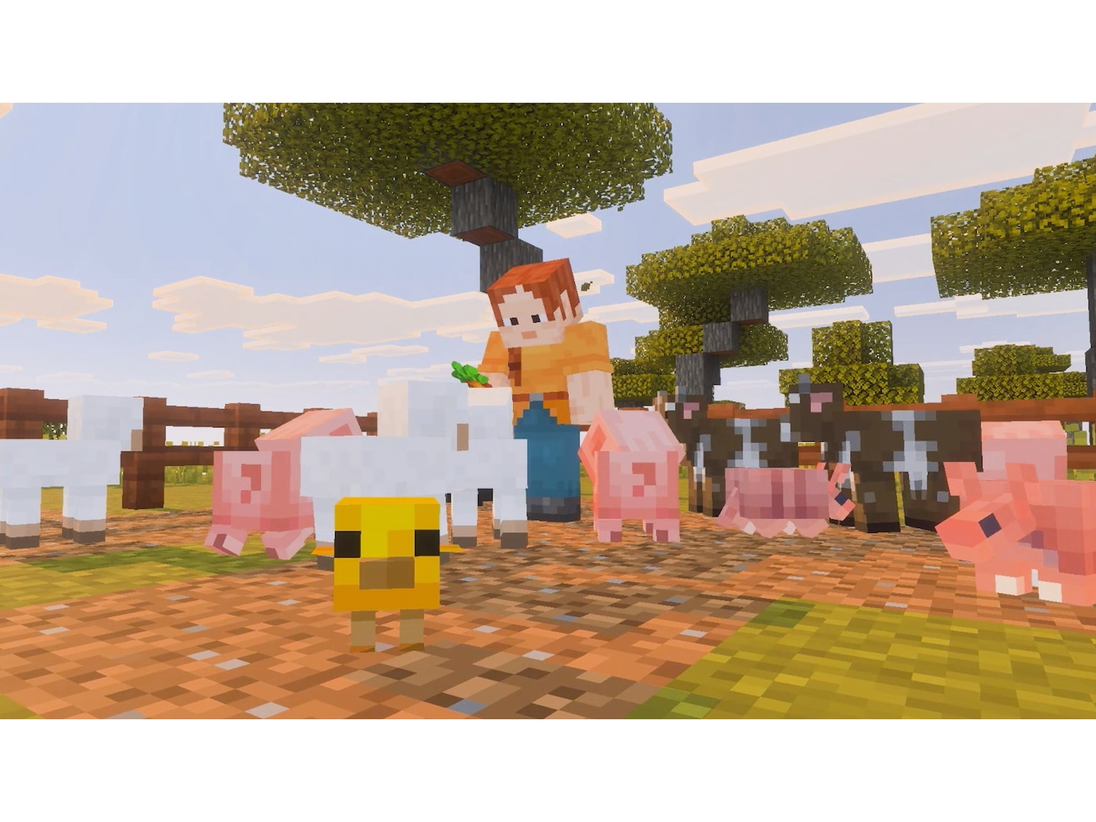 Minecraft Spill til Nintendo Switch 2