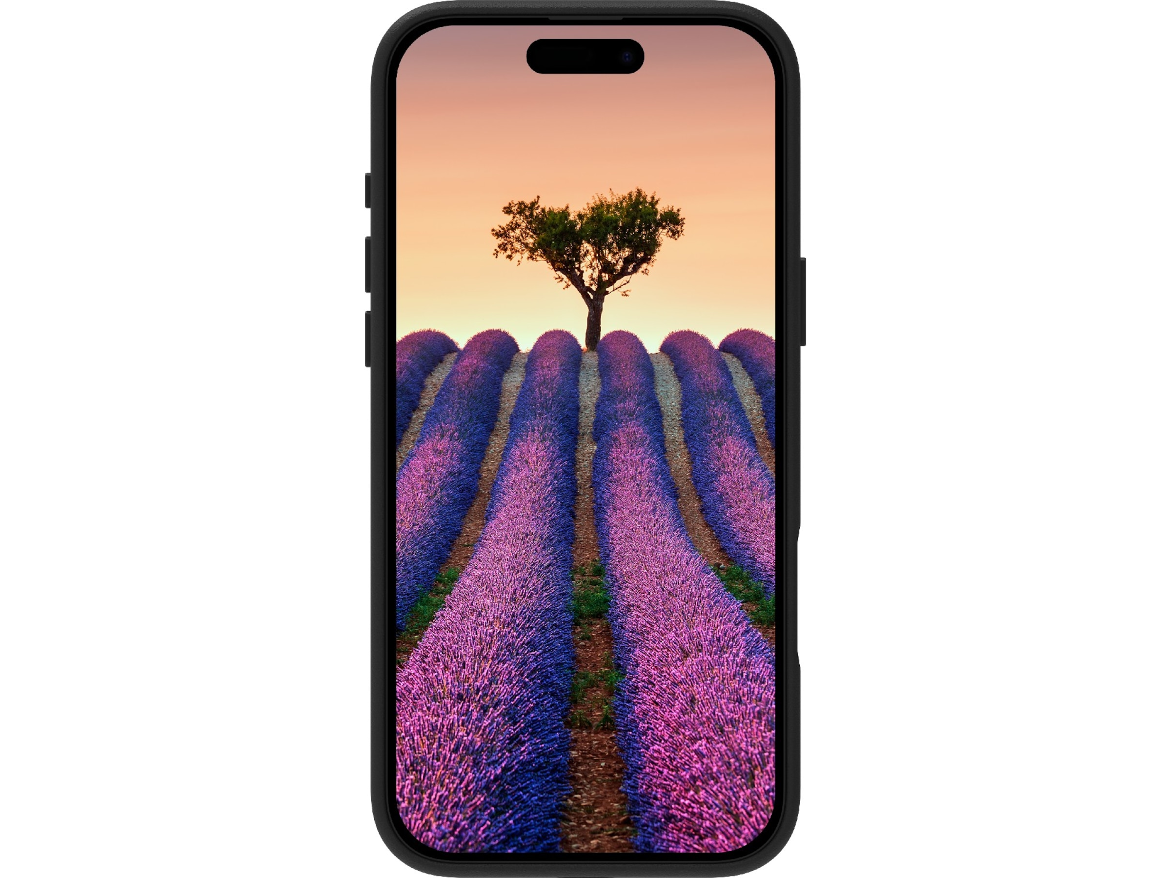 dbramante1928 iPhone 17 Pro Max Roskilde skinndeksel (sort) Mobildeksel