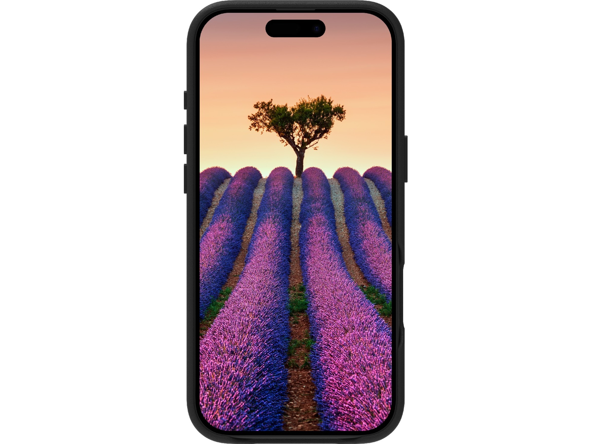 dbramante1928 iPhone Air Roskilde skinndeksel (sort) Mobildeksel