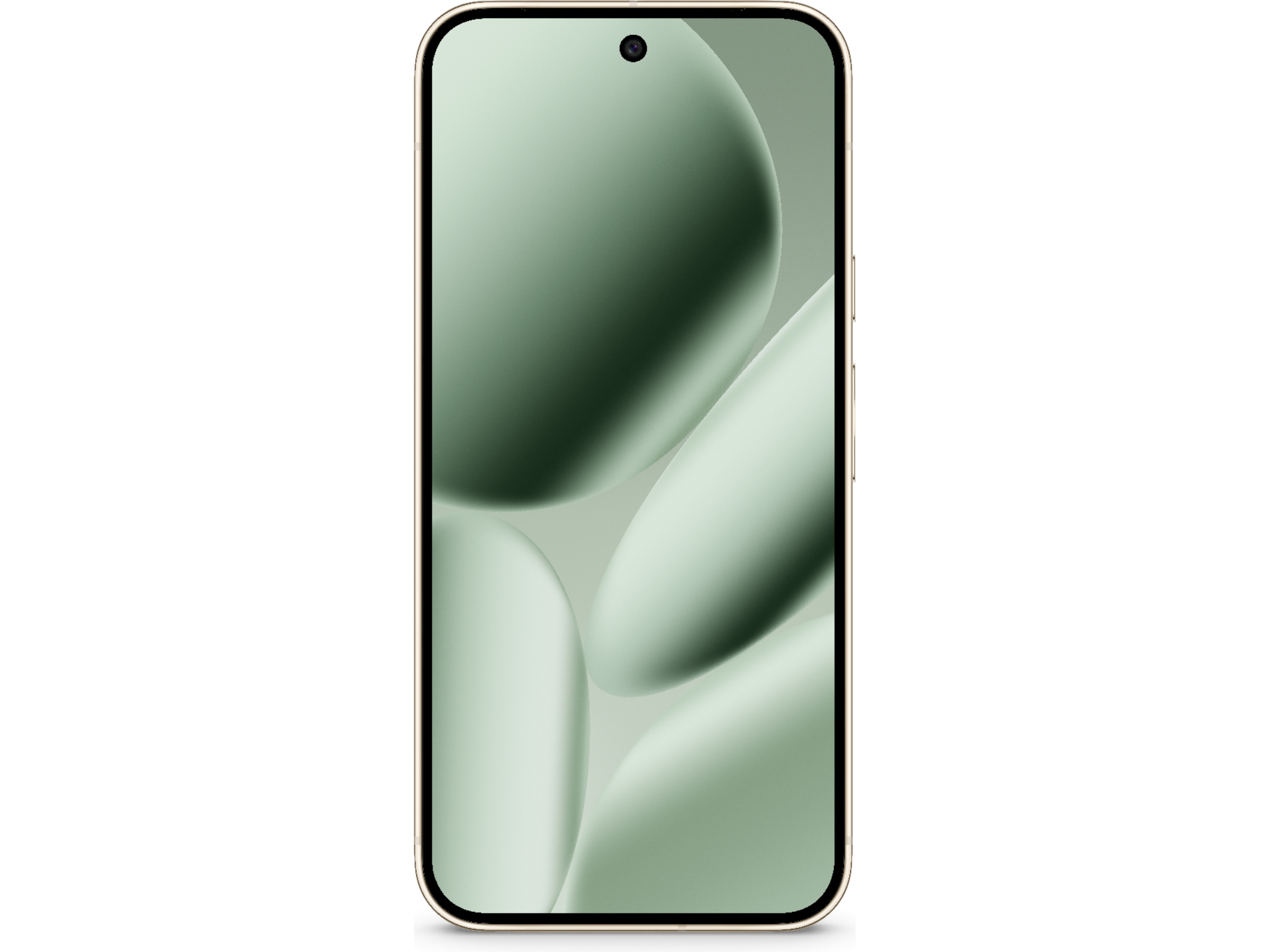 Google Pixel 10 Pro XL 256GB (jade) -B-Grade Demo mobiltelefoner