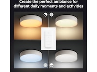 Philips Hue Enrave, liten taklampe (hvit) Taklampe