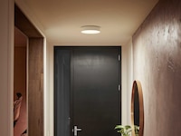 Philips Hue Enrave, liten taklampe (hvit) Taklampe