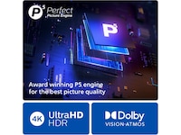 Philips 65" "The One" 4K UHD Smart TV Ambilight 65PUS8949 -B-Grade Demo TV/projektor