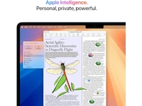 MacBook Air 13" M4 (2025) 256GB (himmelblå) PC - Bærbar / laptop