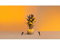 WiZ utendørs 12V bakkespot startsett Gulvlampe