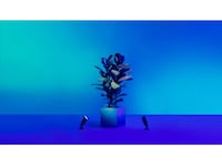 WiZ utendørs 12V bakkespot startsett Gulvlampe