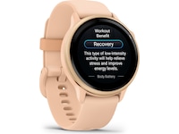 Garmin Vivoactive 6 AMOLED 42mm GPS (pink dawn) -B-Grade Demo klokker