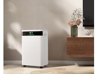 Andersson DHF-20 Smart Luftavfukter 20L Avfuktere