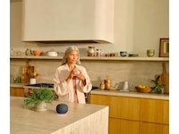 Google Home-høyttaler (hazel) Trådløs / Bluetooth-høyttaler