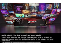 Sandisk Optimus GX PRO 8100 SSD 2TB SSD M.2