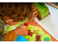 LEGO DUPLO Town Spennende skog med ville dyr 10480  LEGO
