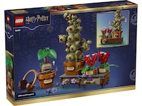 LEGO Harry Potter Urtologiplanter på Galtvort 76474  LEGO