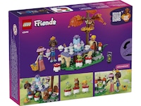 LEGO Friends Forest Tea Party 42690 LEGO