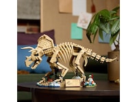 LEGO Jurassic World Dinosaurfossiler: Triceratops 77985  LEGO