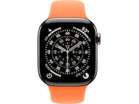 Apple Watch 42mm Sport Band S/M (clementine) Reim