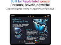 iPad Air 11" (2025) 256GB 5G (stellargrå) -B-Grade Demo annet i PC & nettbrett