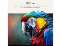 LG 100'' QNED evo AI 87B6 MiniLED 4K TV (2026) Over 80 tommer TV