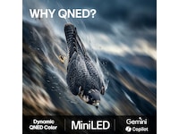 LG 85" QNED70 MiniLED 4K Smart TV (2026) Over 80 tommer TV