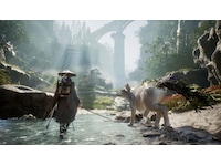 Beast of Reincarnation Spill til Playstation 5