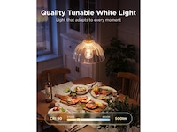 Govee Smart Edison Pære E27, RGBWW LED Lampe ST64 Lyspærer & LED-pærer
