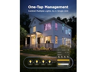 Govee Smart Edison Pærer 2-pack Lyspærer & LED-pærer