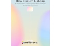 Govee Gulvlampe med millioner av farger Gulvlampe