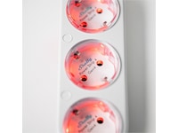 Shelly Power Strip Gen4 (hvit) Smart strømstyring