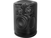 JBL Cove P1 Wi-Fi Høyttaler (sort) Trådløs / Bluetooth-høyttaler
