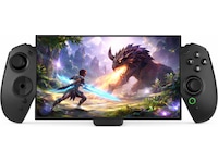 Deltaco Ergonomic Switch 2 Game Controller Tilbehør til spillkonsoller