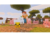 Minecraft Spill til Nintendo Switch 2