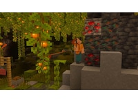 Minecraft Spill til Nintendo Switch 2