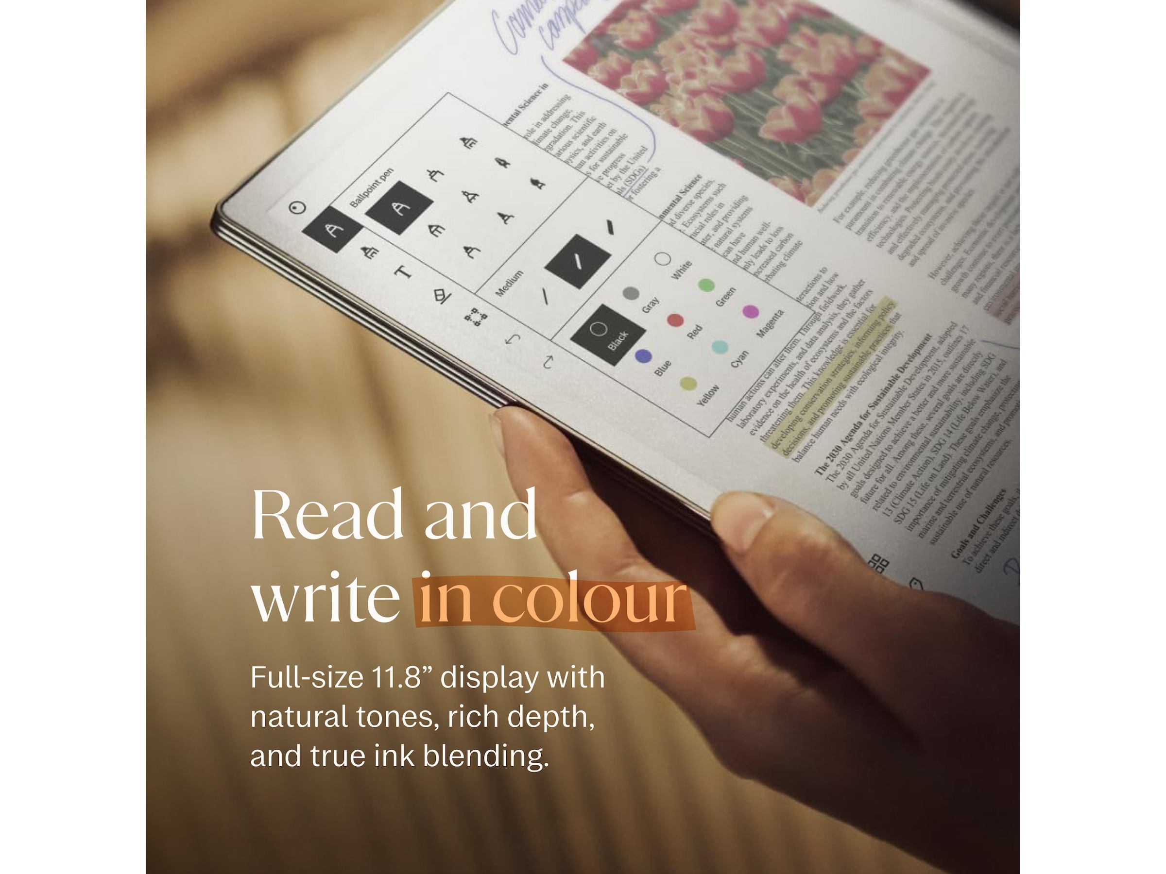 reMarkable Paper Pro 11,8" 64GB inkl. Marker Plus og Book Folio (sort skinn) Digitale notatblokker