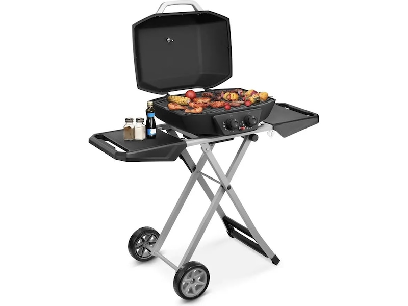 Bærbar gassgrill med dobbelbrenner 4,5 kW Grill