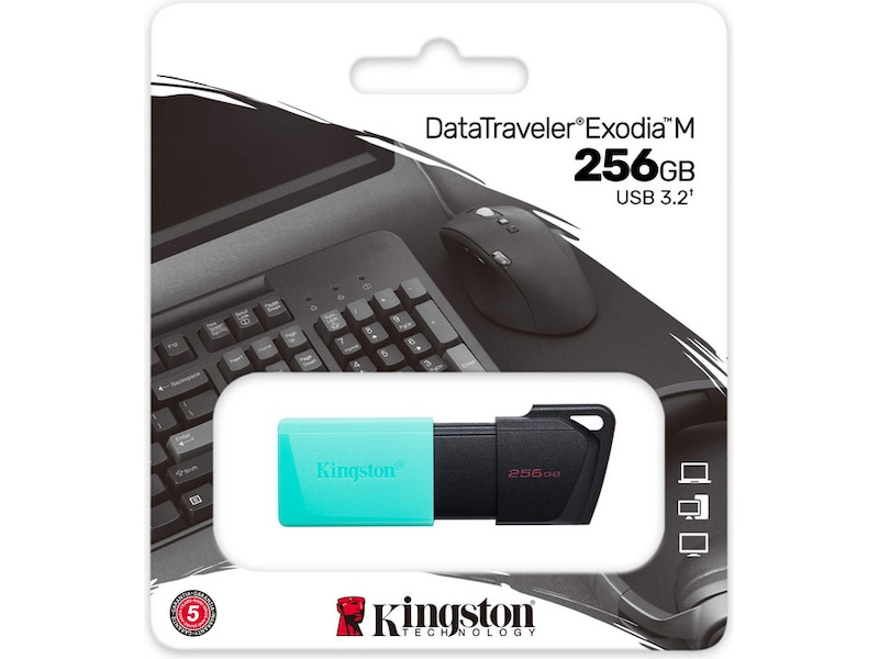 Kingston DataTraveler Exodia M 256GB Minnepenn / USB