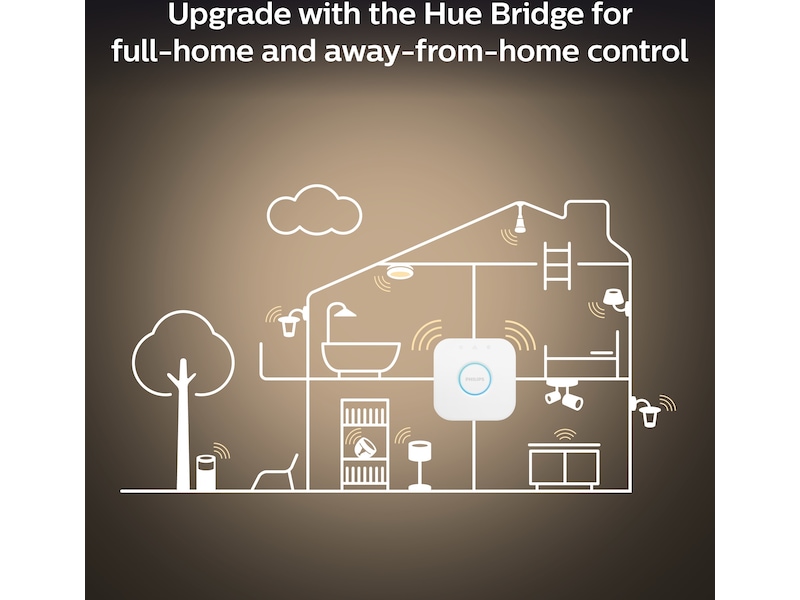 Philips Hue Enrave, medium taklampe (sort) Taklampe