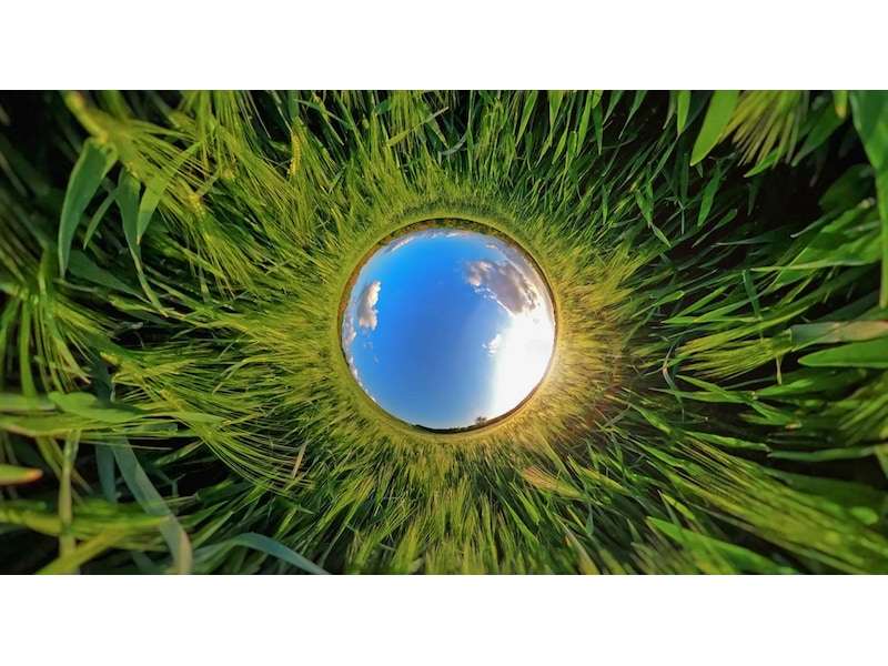 GoPro MAX Enduro Rechargeable Battery Tilbehørssett til kamera